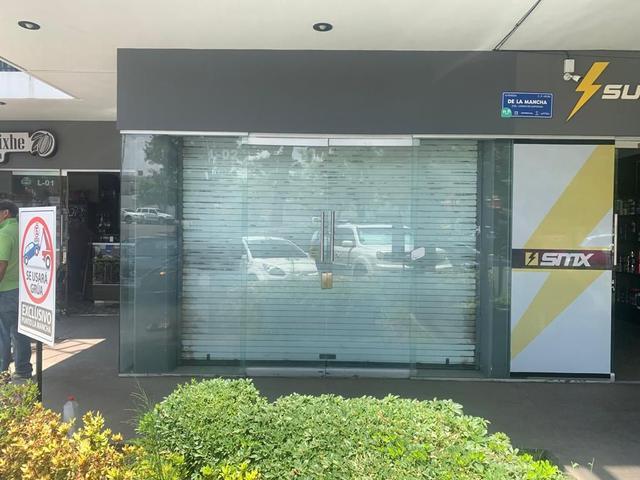 Foto de la galeria de imagenes